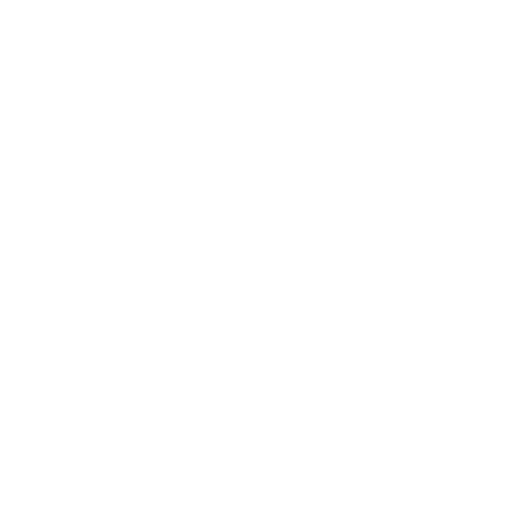Anterior Total
