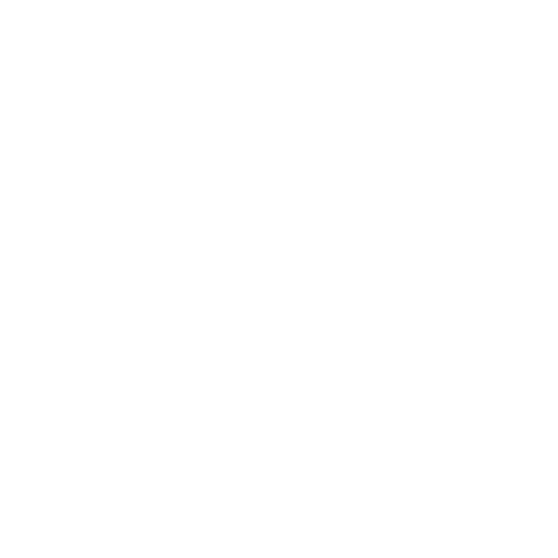 Robotic Knee